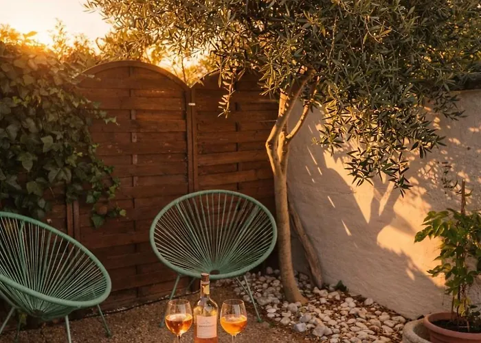 Richelieu 76 A 300m Piscine Parking Tatil Evi Agde